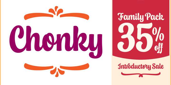 Download Chonky Fonts Family From Typesenses