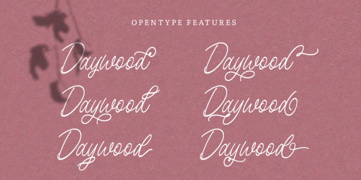 Birdspring Signature