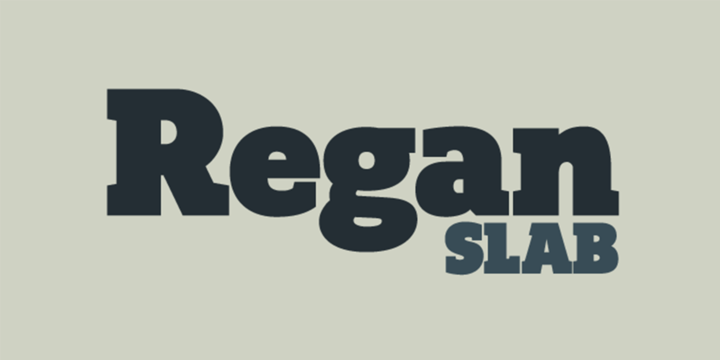 Regan Slab™
