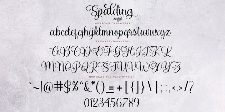 Spalding Script