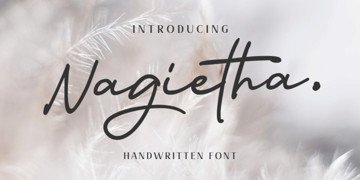 Download Nagietha Fonts Family From Arterfak Project