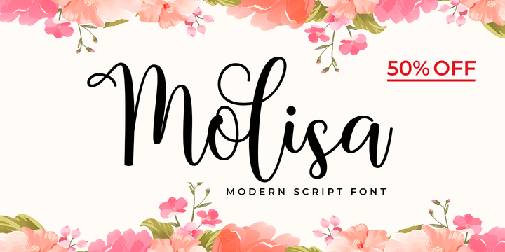 Download Molisa Fonts Family From Aqeela Studio