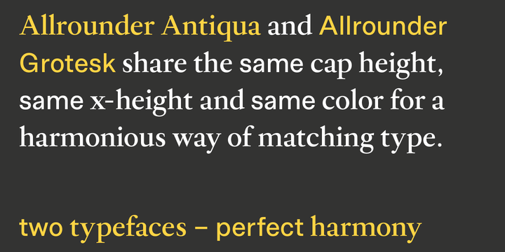 Allrounder Antiqua