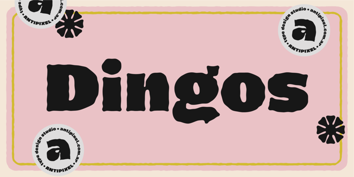Dingos