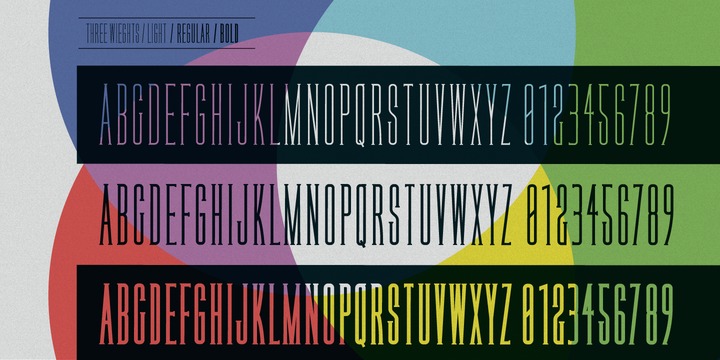 Legal Obligation Serif