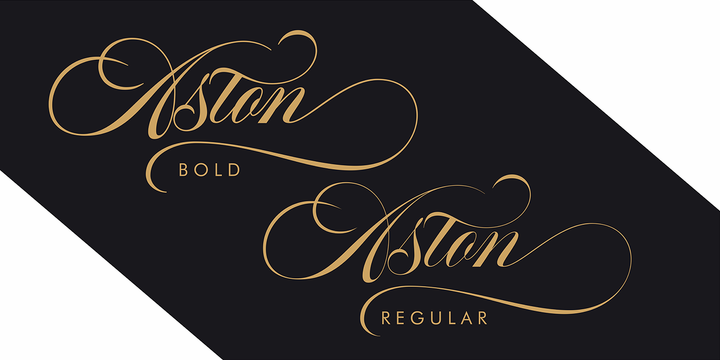 Aston Script Pro Font | Webfont & Desktop | MyFonts