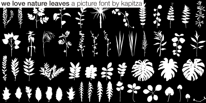 We Love Nature™ Leaves