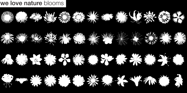 We Love Nature™ Blooms