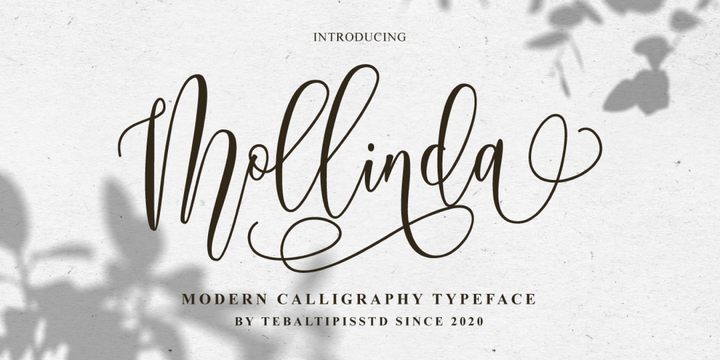 [btbqihgudw] Download Mollinda Script Fonts Family From Tebaltipis Studio