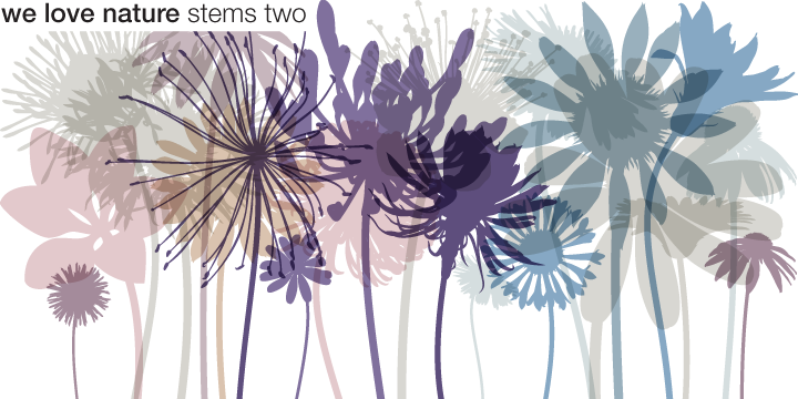 We Love Nature™ Stems Two