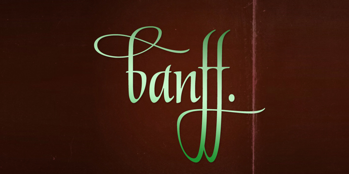 Free Biographer Fonts biographer font free download