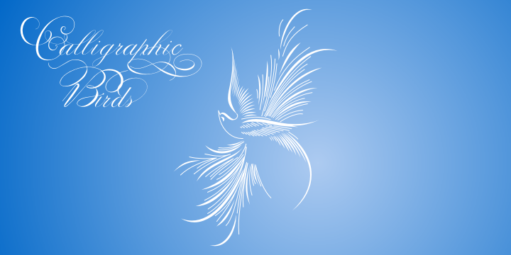Calligraphic Birds