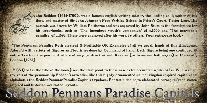 Seddon Penmans Paradise Capitals