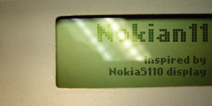 Nokian11