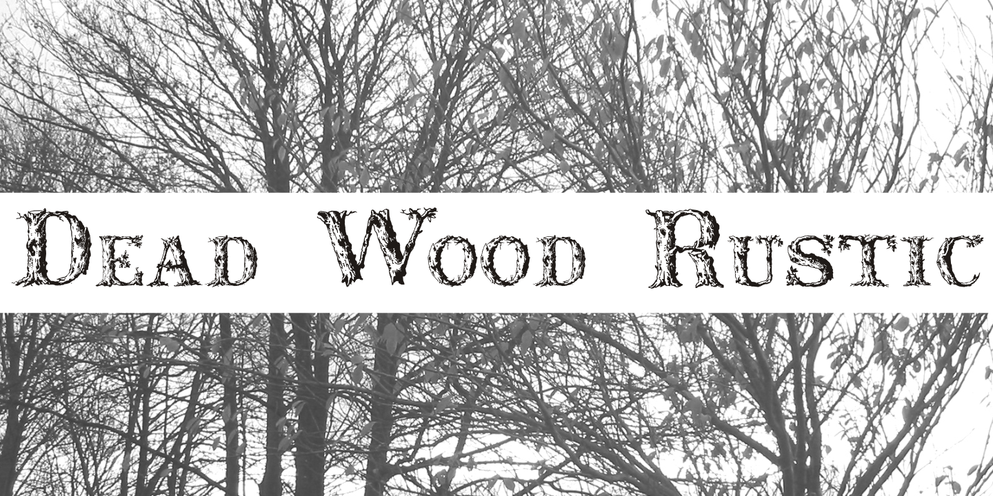 Dead Wood Rustic