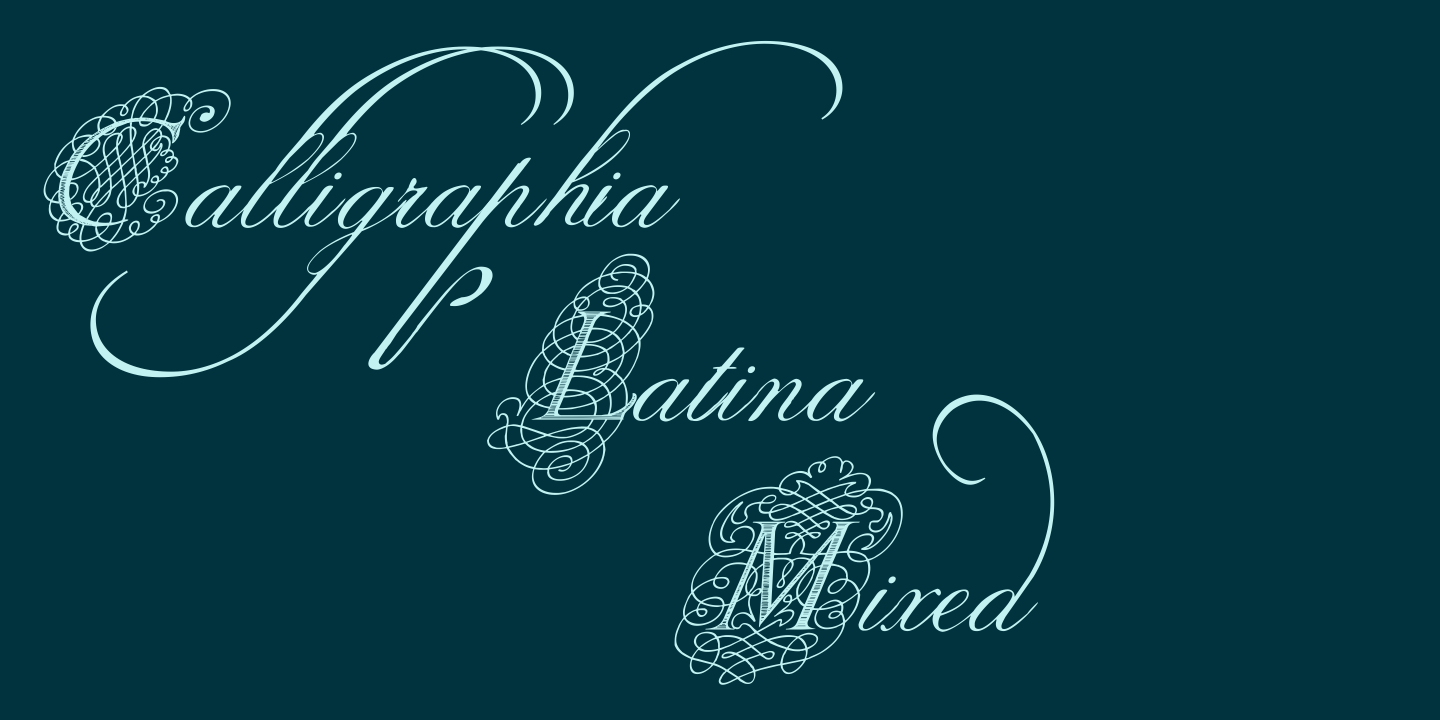 Calligraphia Latina Mixed