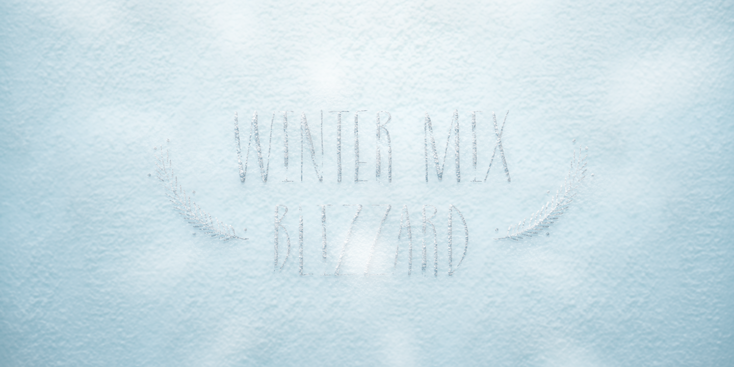 Winter Mix Blizzard