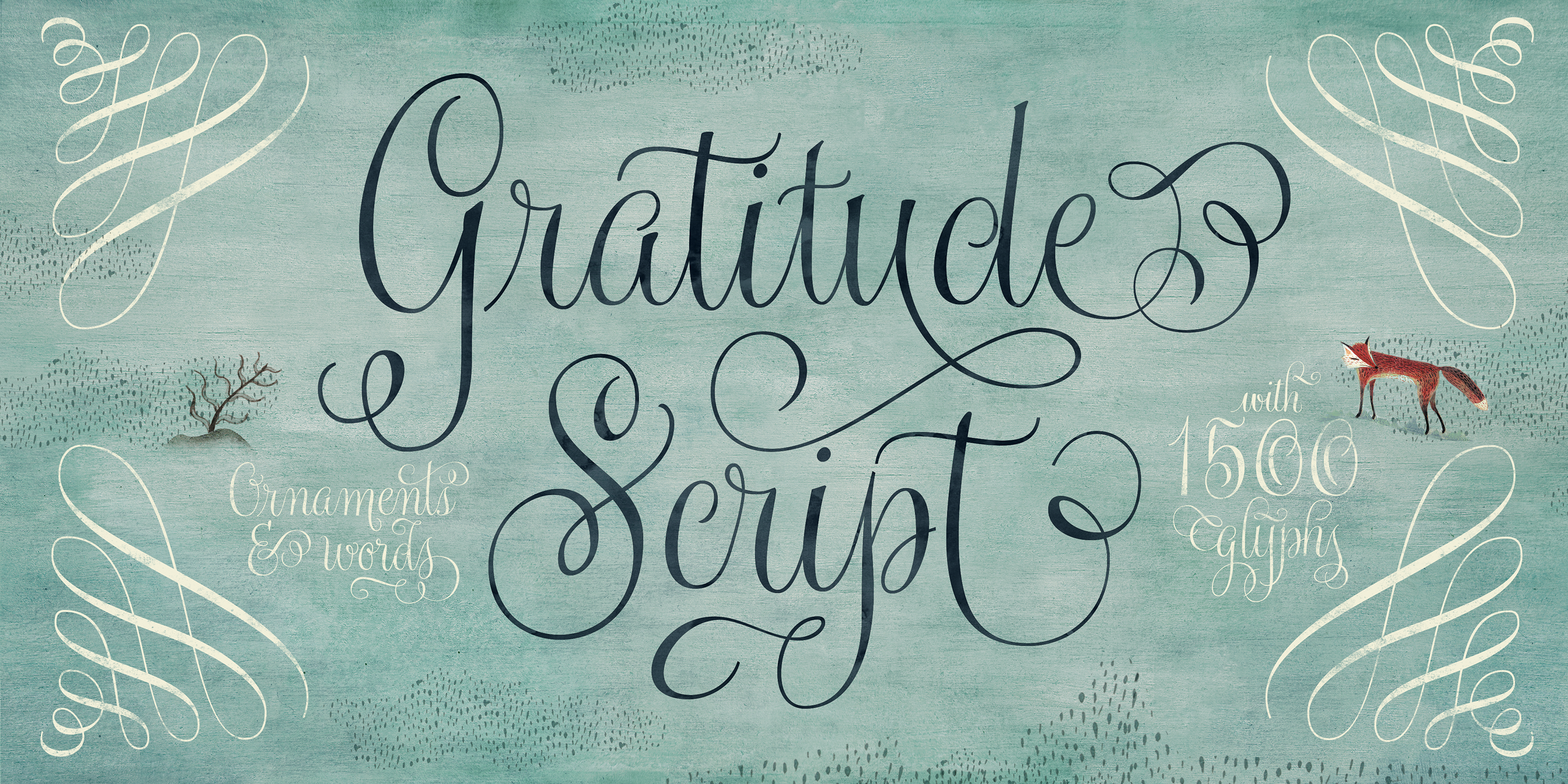 Gratitude Script
