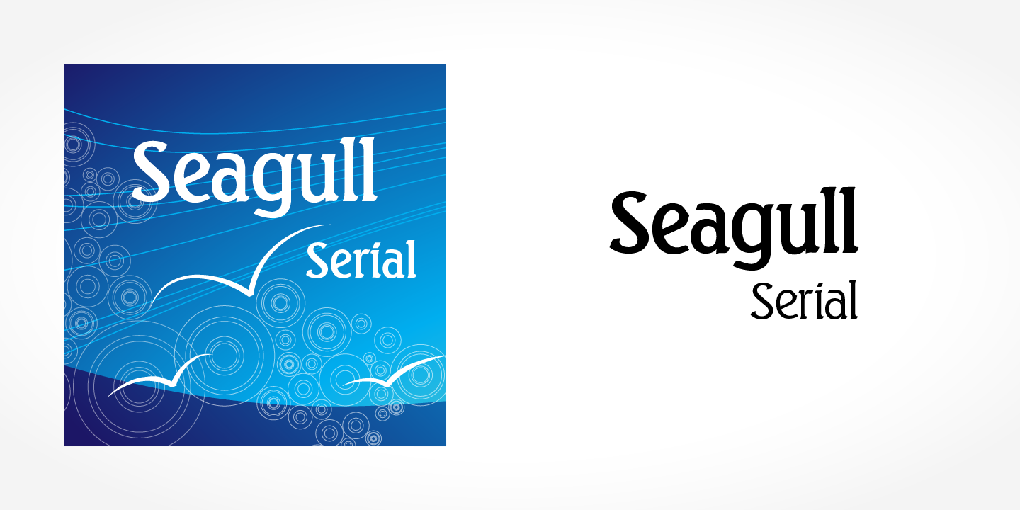 Seagull Serial