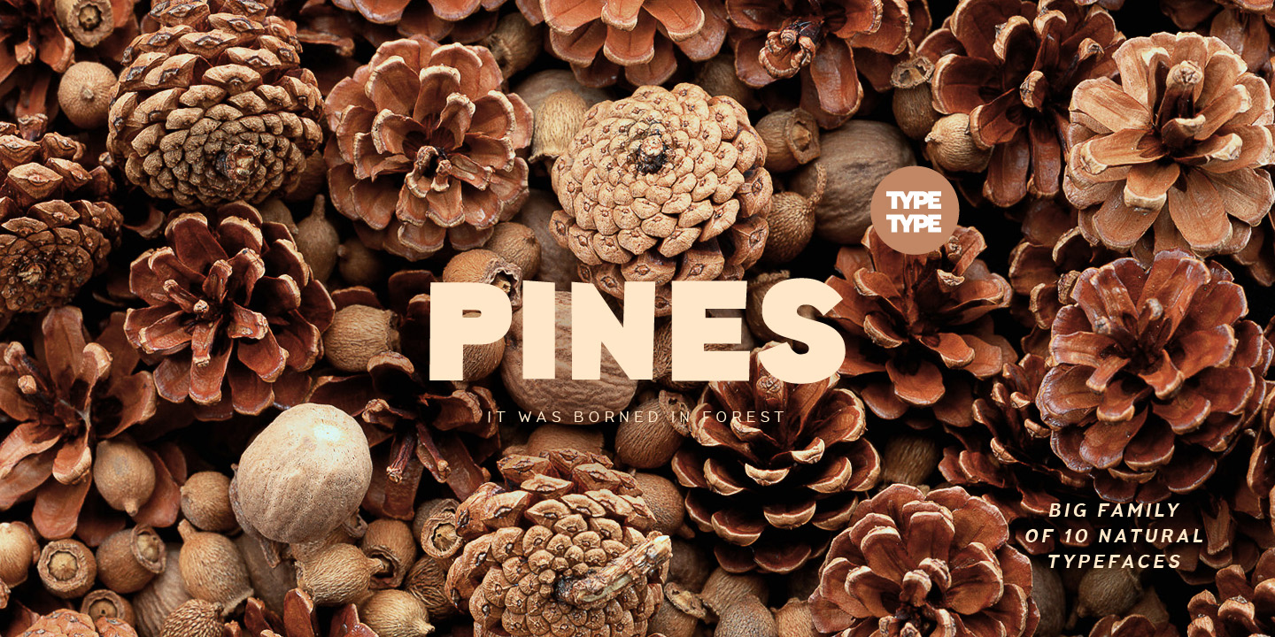 TT Pines