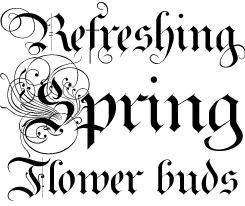 Ayres Royal / Royal Bavarian font sample