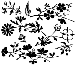 Floralissimo font sample