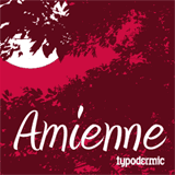 Amienne font flag