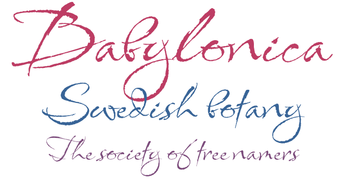 Babylonica font sample