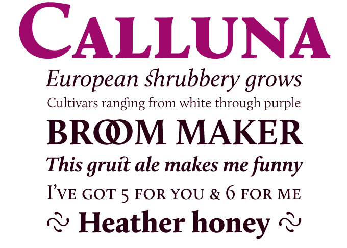 Calluna font sample