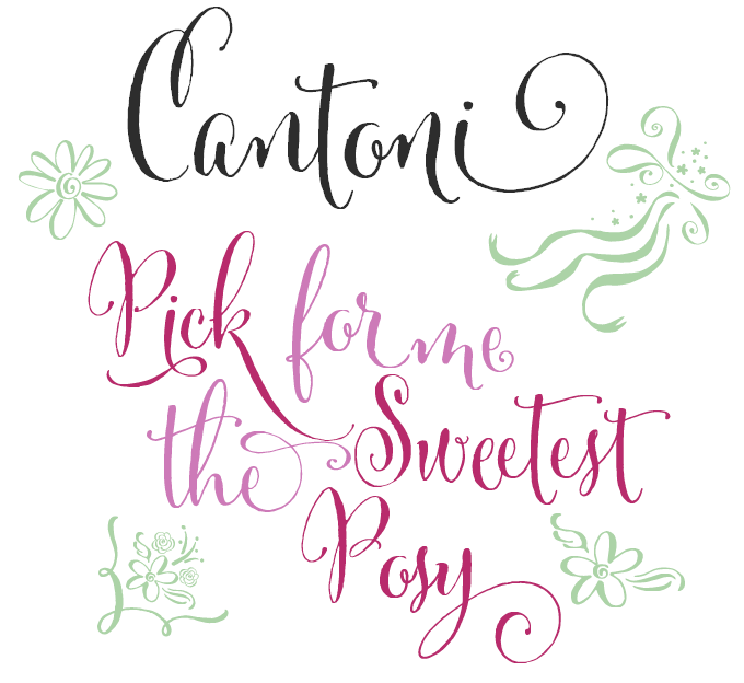 Cantoni font sample