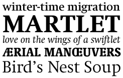 Swift font sample