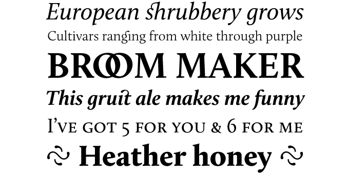 Calluna font sample